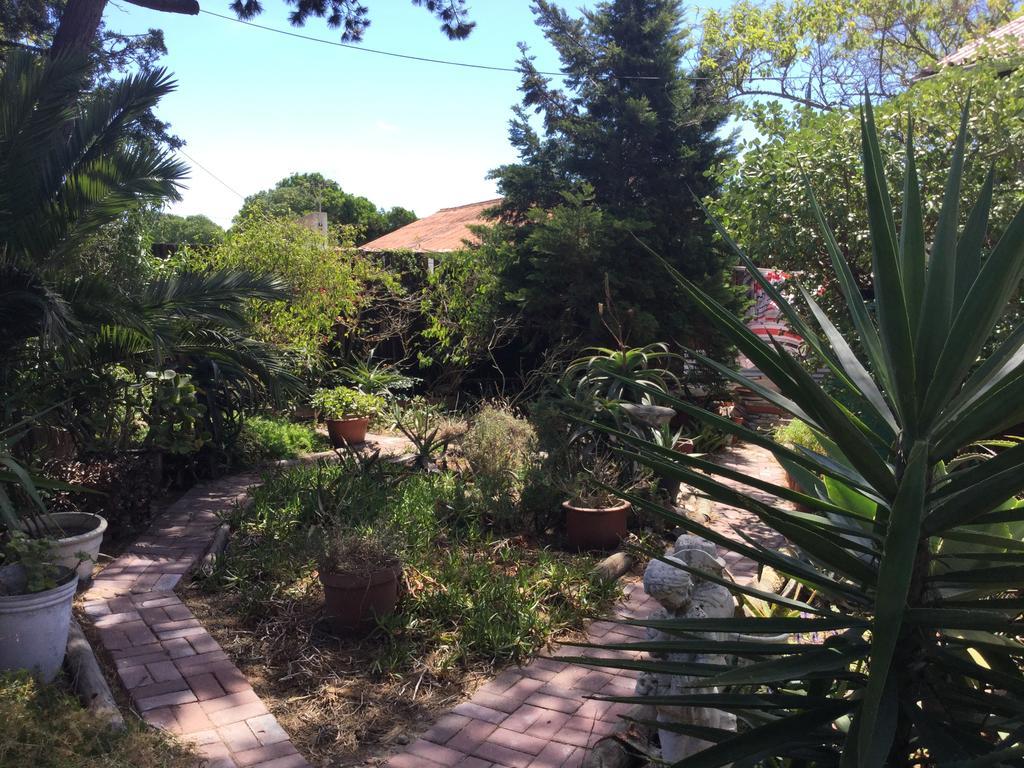 The Buddha Garden Cape Town Ngoại thất bức ảnh